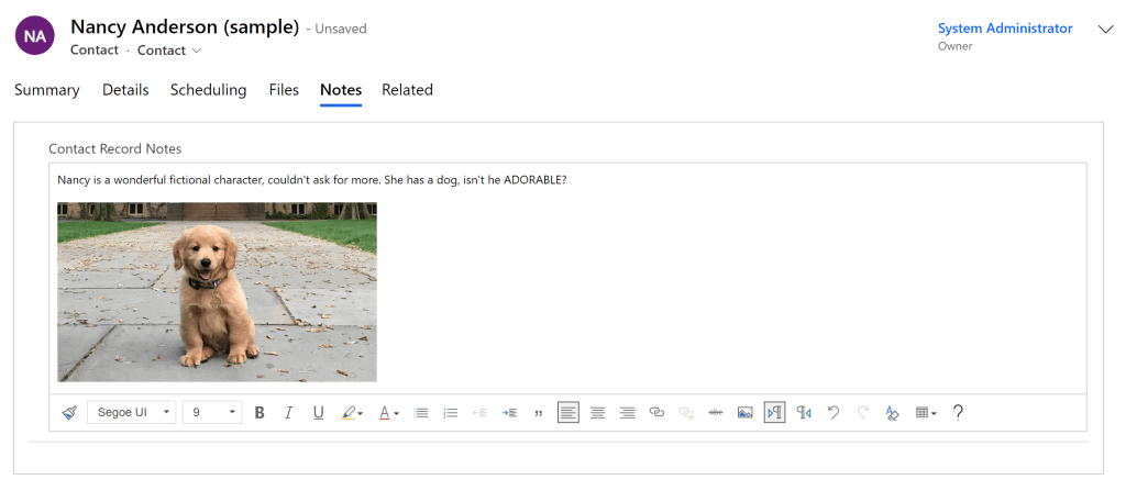 The Hidden Agenda of Rich Text&nbsp;Fields